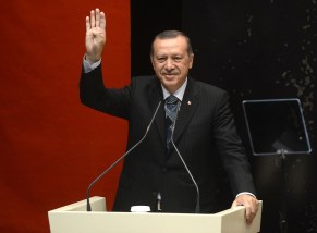 erdogan-2155938_1280